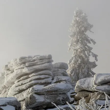 Im Bayerischen Wald - 