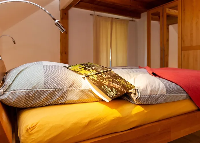 Im Bayerischen Wald - 