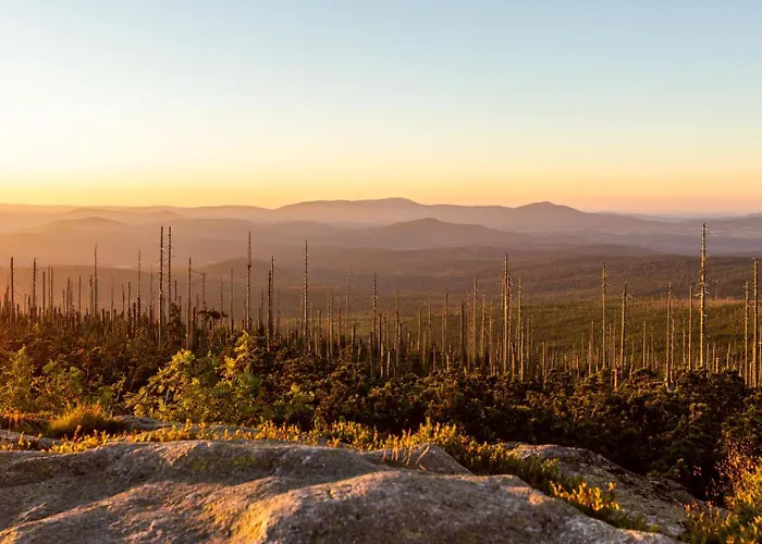 Im Bayerischen Wald - 
