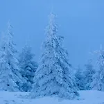 Im Bayerischen Wald - 