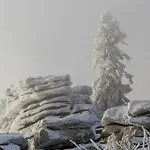 Im Bayerischen Wald - 