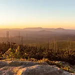Im Bayerischen Wald - 