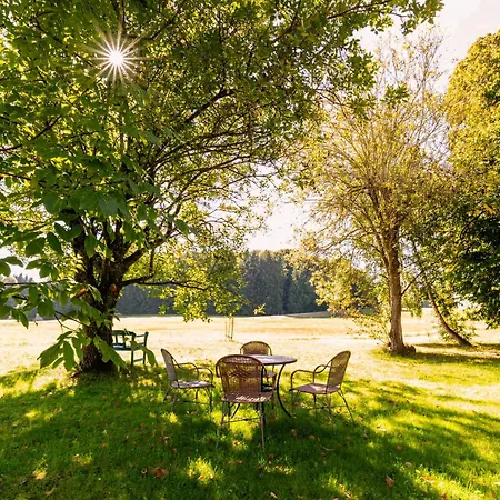 Im Bayerischen Wald - 