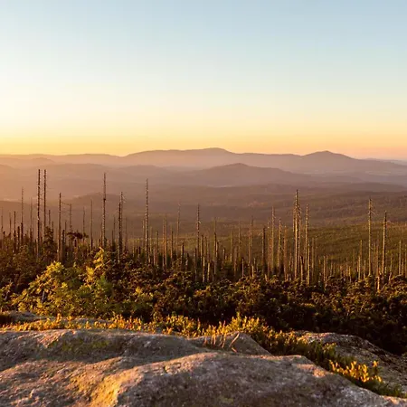 Im Bayerischen Wald - 