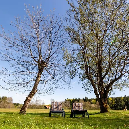 Im Bayerischen Wald - 