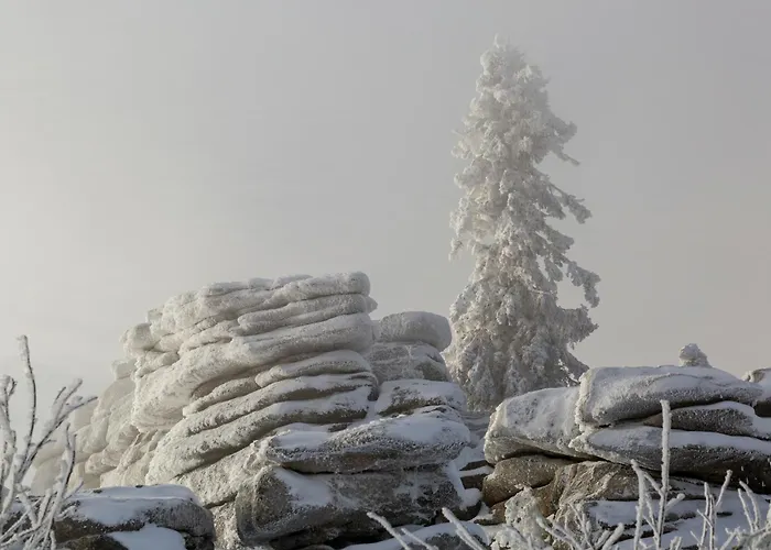 Im Bayerischen Wald - 