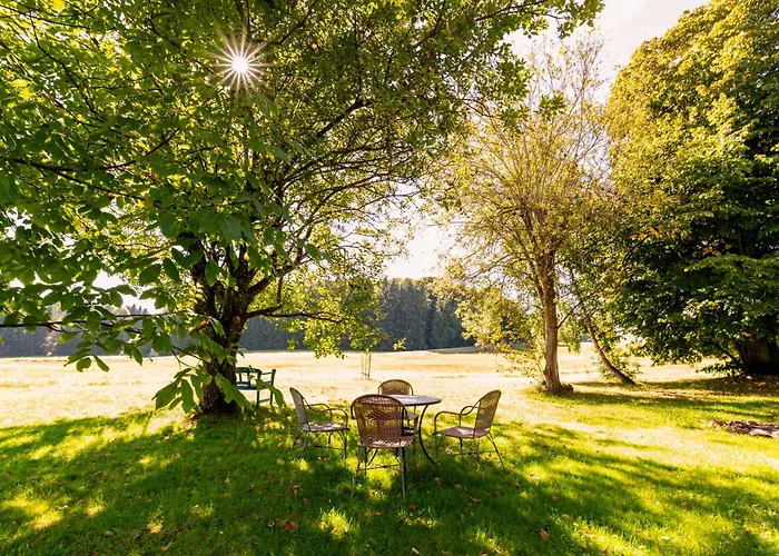 Im Bayerischen Wald - 